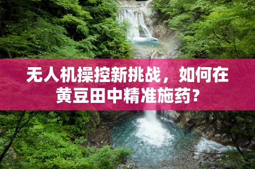 无人机操控新挑战，如何在黄豆田中精准施药？