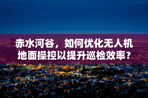 赤水河谷，如何优化无人机地面操控以提升巡检效率？