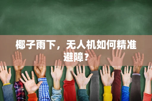 椰子雨下，无人机如何精准避障？