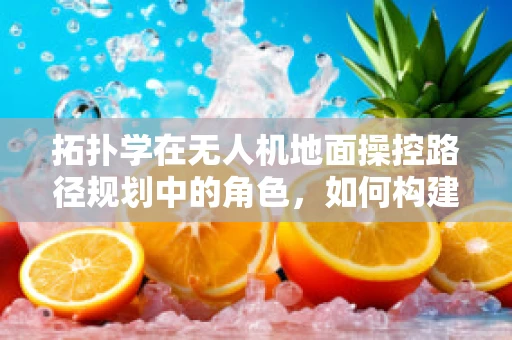 拓扑学在无人机地面操控路径规划中的角色，如何构建无碰撞的飞行网络？