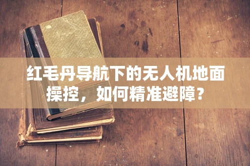 红毛丹导航下的无人机地面操控，如何精准避障？