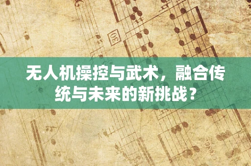 无人机操控与武术，融合传统与未来的新挑战？