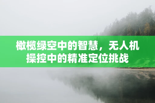 橄榄绿空中的智慧，无人机操控中的精准定位挑战