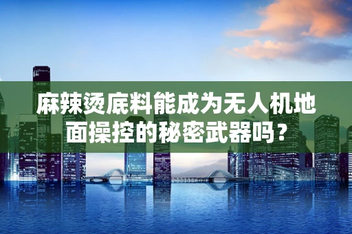 麻辣烫底料能成为无人机地面操控的秘密武器吗？