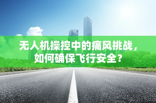 无人机操控中的痛风挑战，如何确保飞行安全？