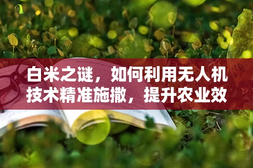 白米之谜，如何利用无人机技术精准施撒，提升农业效率？