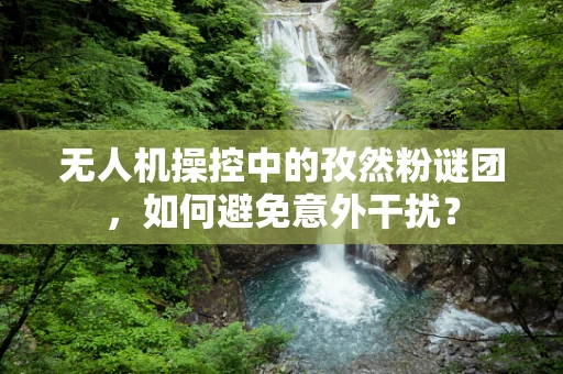 无人机操控中的孜然粉谜团，如何避免意外干扰？