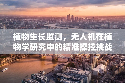 植物生长监测，无人机在植物学研究中的精准操控挑战