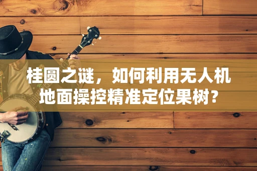 桂圆之谜，如何利用无人机地面操控精准定位果树？