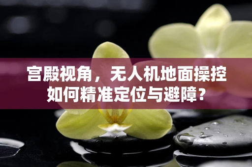 宫殿视角，无人机地面操控如何精准定位与避障？