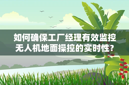 如何确保工厂经理有效监控无人机地面操控的实时性？