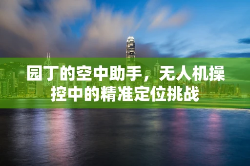 园丁的空中助手，无人机操控中的精准定位挑战