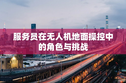 服务员在无人机地面操控中的角色与挑战
