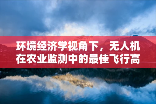 环境经济学视角下，无人机在农业监测中的最佳飞行高度如何确定？