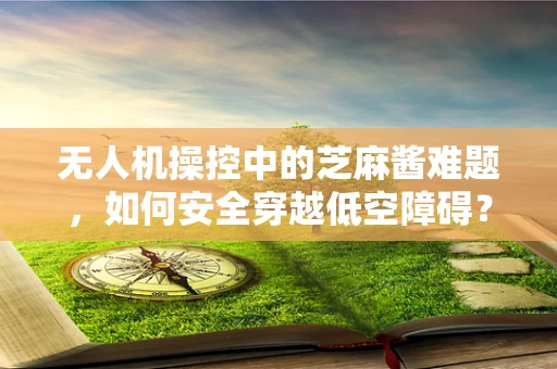 无人机操控中的芝麻酱难题，如何安全穿越低空障碍？