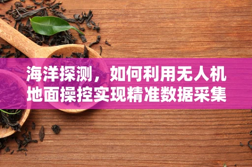 海洋探测，如何利用无人机地面操控实现精准数据采集？