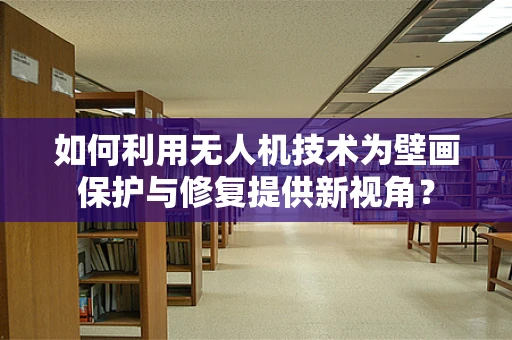 如何利用无人机技术为壁画保护与修复提供新视角？