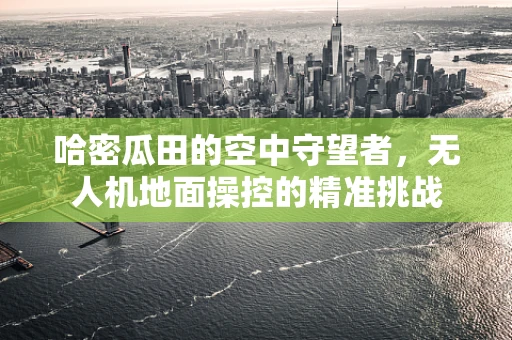 哈密瓜田的空中守望者，无人机地面操控的精准挑战