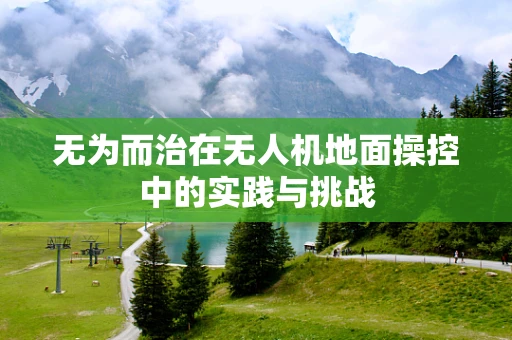 无为而治在无人机地面操控中的实践与挑战