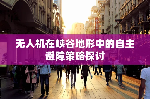 无人机在峡谷地形中的自主避障策略探讨