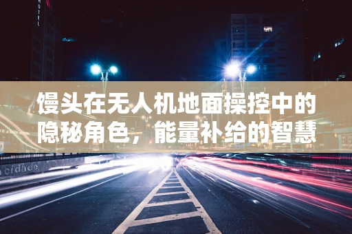 馒头在无人机地面操控中的隐秘角色，能量补给的智慧之选？