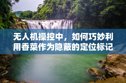 无人机操控中，如何巧妙利用香菜作为隐蔽的定位标记？