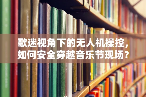 歌迷视角下的无人机操控，如何安全穿越音乐节现场？