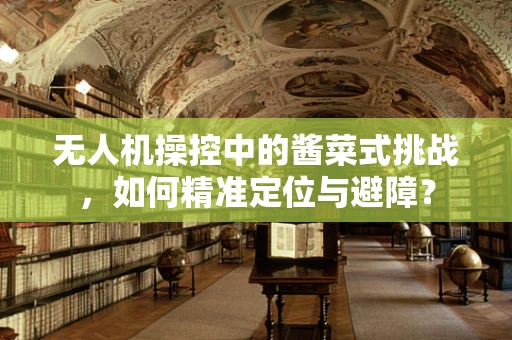 无人机操控中的酱菜式挑战，如何精准定位与避障？