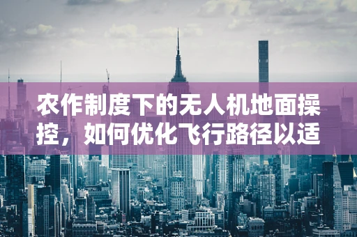 农作制度下的无人机地面操控，如何优化飞行路径以适应不同作物种植模式？