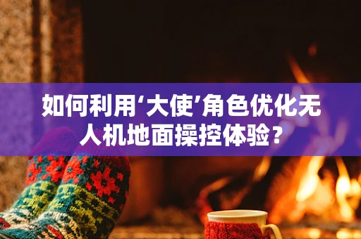 如何利用‘大使’角色优化无人机地面操控体验？