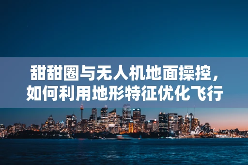 甜甜圈与无人机地面操控，如何利用地形特征优化飞行路径？