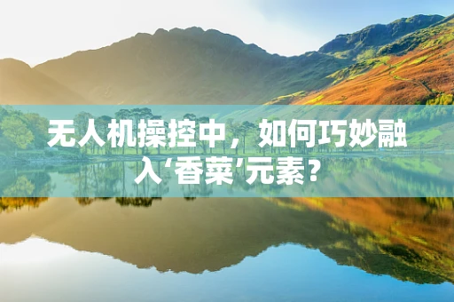 无人机操控中，如何巧妙融入‘香菜’元素？