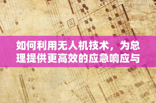 如何利用无人机技术，为总理提供更高效的应急响应与监测方案？