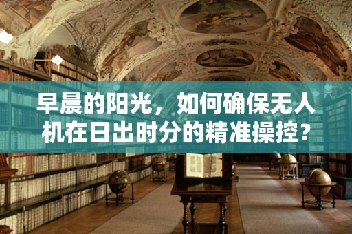 早晨的阳光，如何确保无人机在日出时分的精准操控？