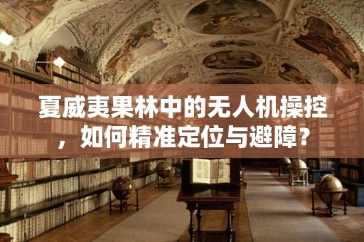 夏威夷果林中的无人机操控，如何精准定位与避障？