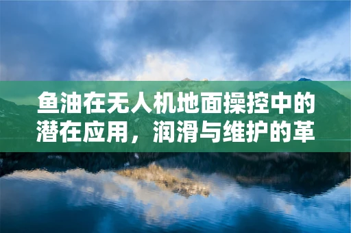 鱼油在无人机地面操控中的潜在应用，润滑与维护的革新？