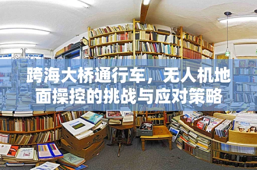 跨海大桥通行车，无人机地面操控的挑战与应对策略