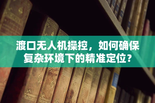 渡口无人机操控，如何确保复杂环境下的精准定位？