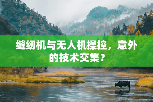 缝纫机与无人机操控，意外的技术交集？