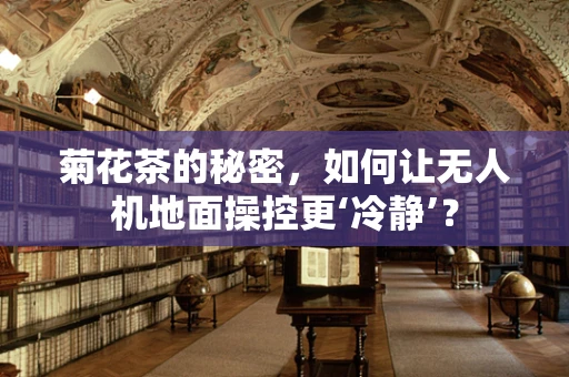 菊花茶的秘密，如何让无人机地面操控更‘冷静’？