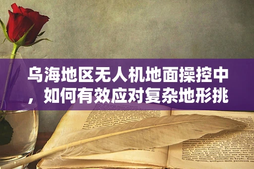 乌海地区无人机地面操控中，如何有效应对复杂地形挑战？