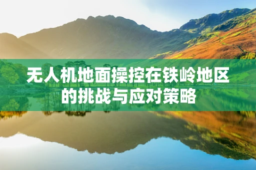 无人机地面操控在铁岭地区的挑战与应对策略