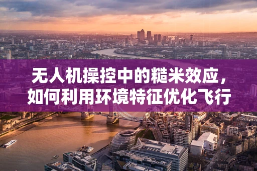 无人机操控中的糙米效应，如何利用环境特征优化飞行路径？