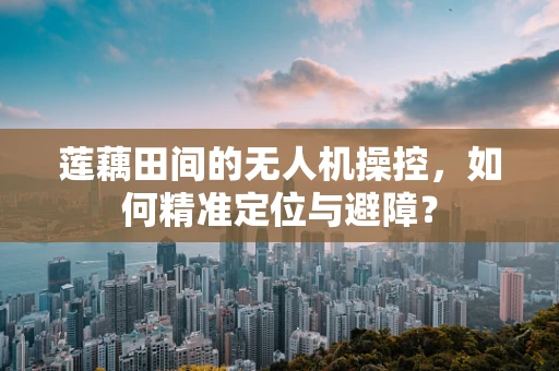 莲藕田间的无人机操控，如何精准定位与避障？