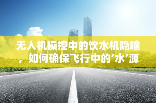 无人机操控中的饮水机隐喻，如何确保飞行中的‘水’源充足？