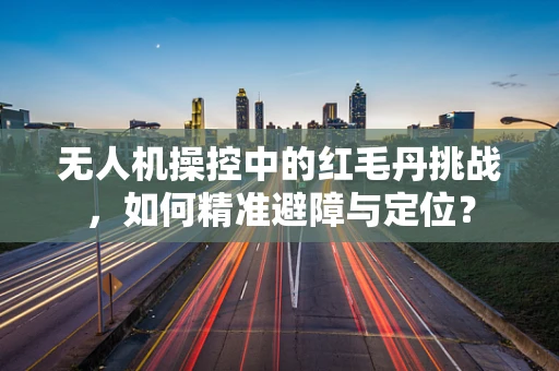 无人机操控中的红毛丹挑战，如何精准避障与定位？
