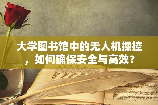 大学图书馆中的无人机操控，如何确保安全与高效？