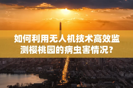 如何利用无人机技术高效监测樱桃园的病虫害情况？