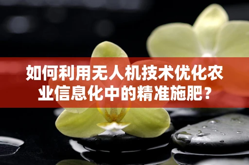 如何利用无人机技术优化农业信息化中的精准施肥？