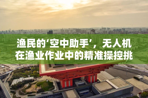 渔民的‘空中助手’，无人机在渔业作业中的精准操控挑战